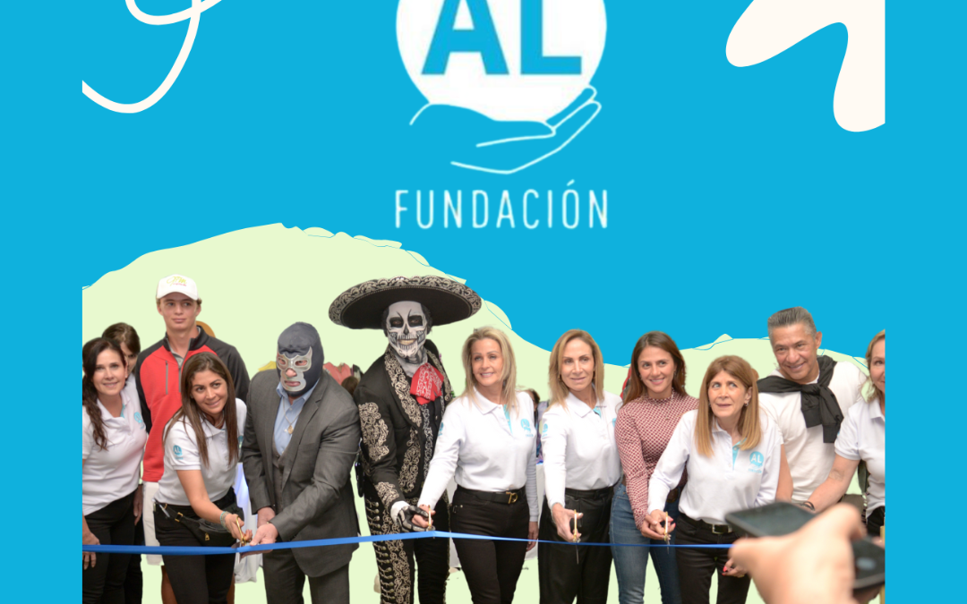 fundacion AL BLOG